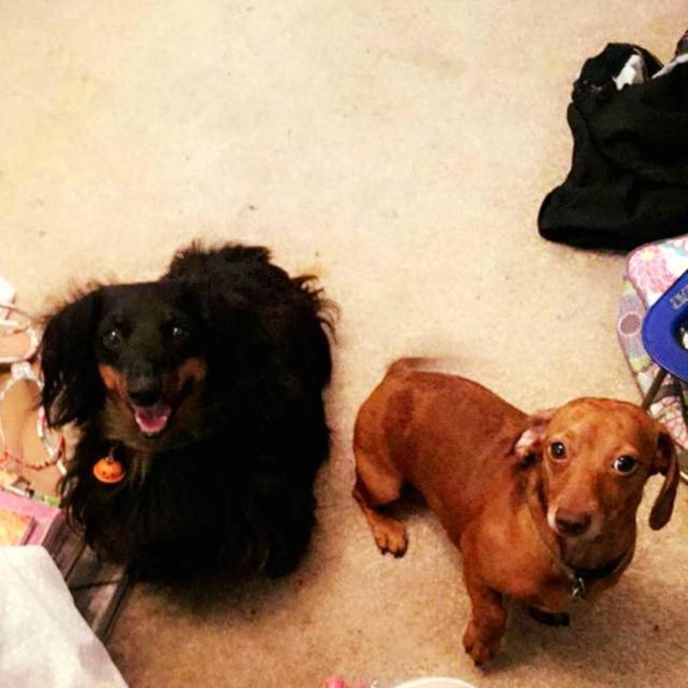 Meet your Posher, Caitlyn